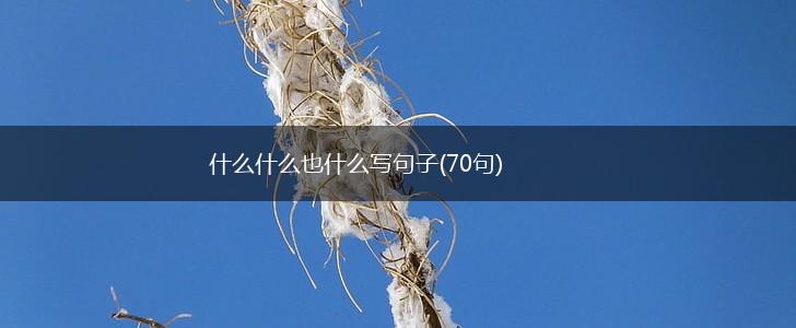什么什么也什么写句子(70句),第1张