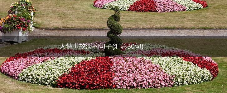 人情世故淡的句子(汇总30句),第1张