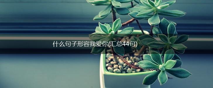 什么句子形容我爱你(汇总44句),第1张