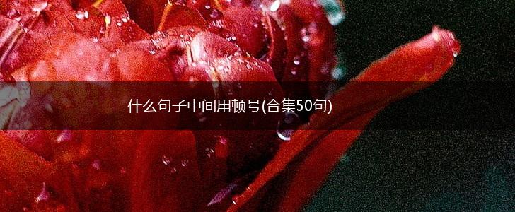 什么句子中间用顿号(合集50句),第1张