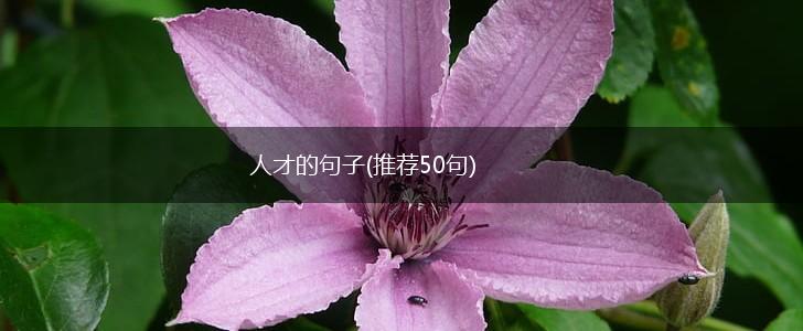 人才的句子(推荐50句),第1张
