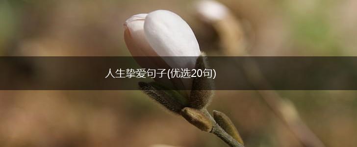 人生挚爱句子(优选20句),第1张