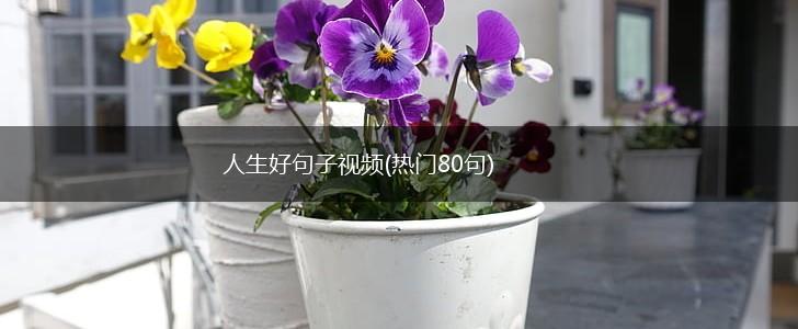 人生好句子视频(热门80句),第1张