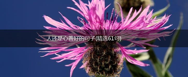 人还是心善好的句子(精选61句),第1张
