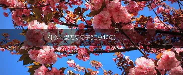 什么一望无际句子(汇总40句),第1张