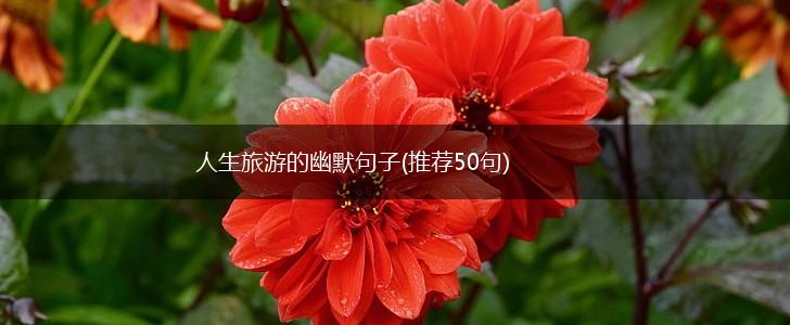 人生旅游的幽默句子(推荐50句),第1张