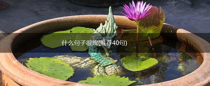 什么句子很拽(推荐40句),第1张