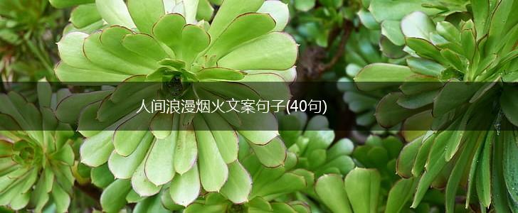 人间浪漫烟火文案句子(40句),第1张