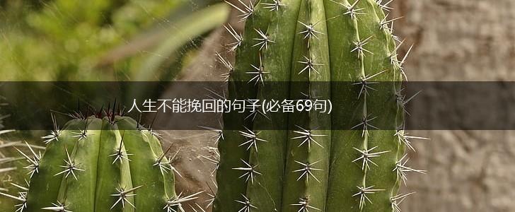 人生不能挽回的句子(必备69句),第1张