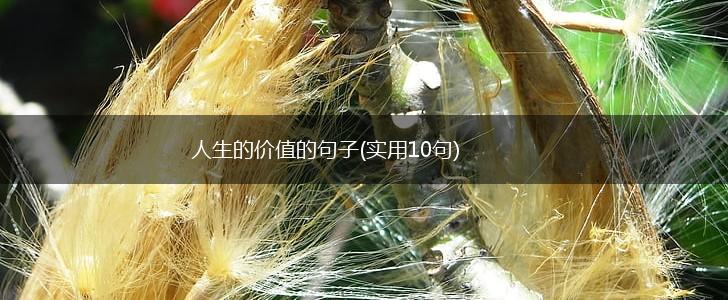 人生的价值的句子(实用10句),第1张