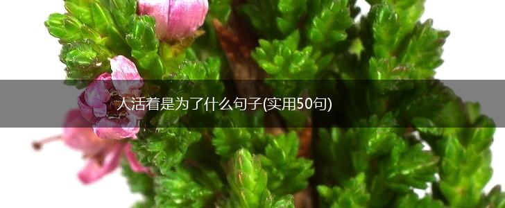 人活着是为了什么句子(实用50句),第1张