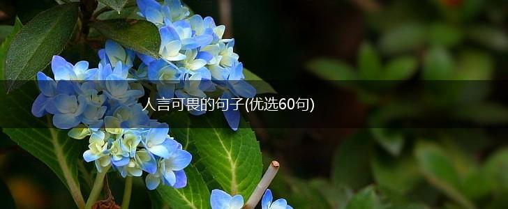 人言可畏的句子(优选60句),第1张