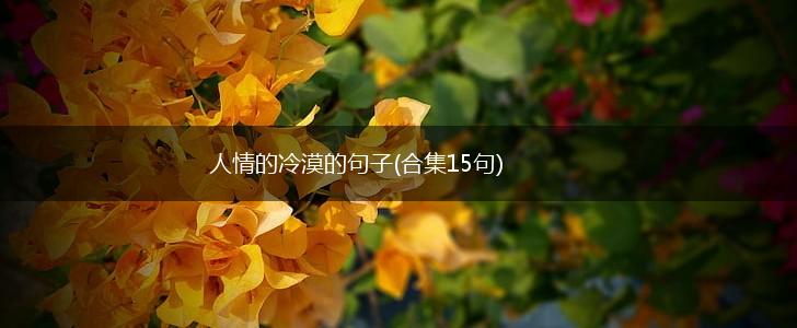 人情的冷漠的句子(合集15句),第1张