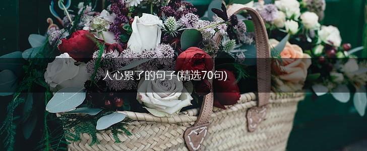 人心累了的句子(精选70句),第1张
