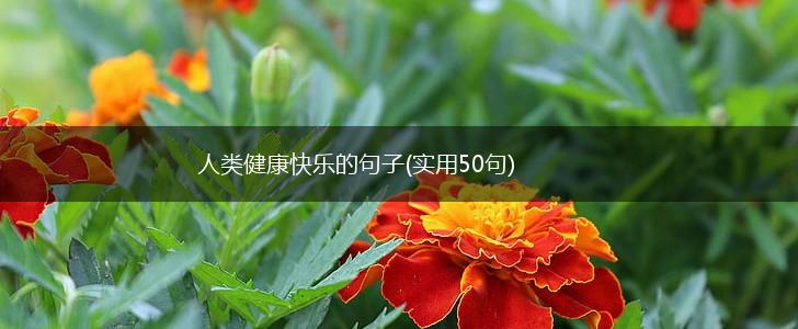 人类健康快乐的句子(实用50句),第1张