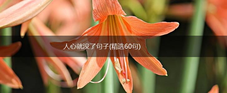 人心就没了句子(精选60句),第1张
