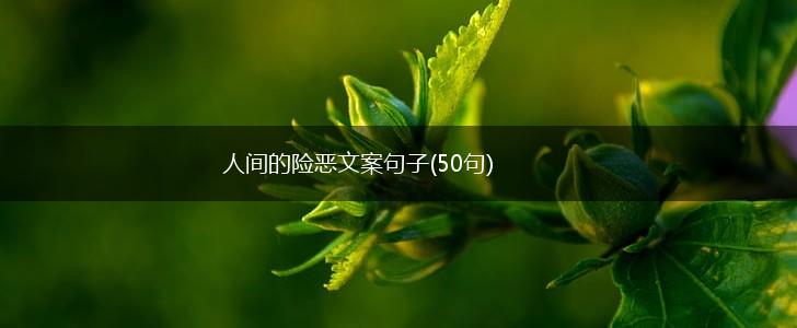 人间的险恶文案句子(50句),第1张