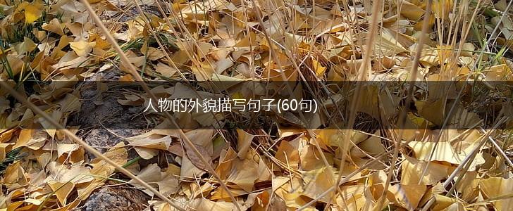 人物的外貌描写句子(60句),第1张