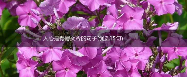 人心是慢慢变冷的句子(优选15句),第1张