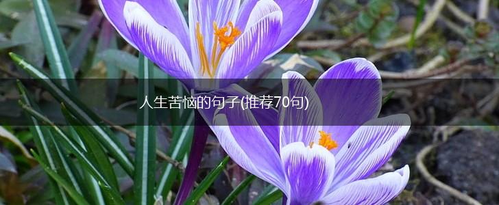 人生苦恼的句子(推荐70句),第1张