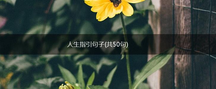 人生指引句子(共50句),第1张