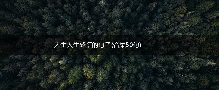 人生人生感悟的句子(合集50句),第1张
