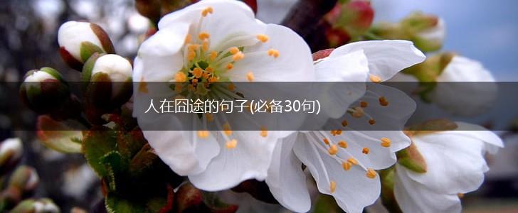 人在囧途的句子(必备30句),第1张