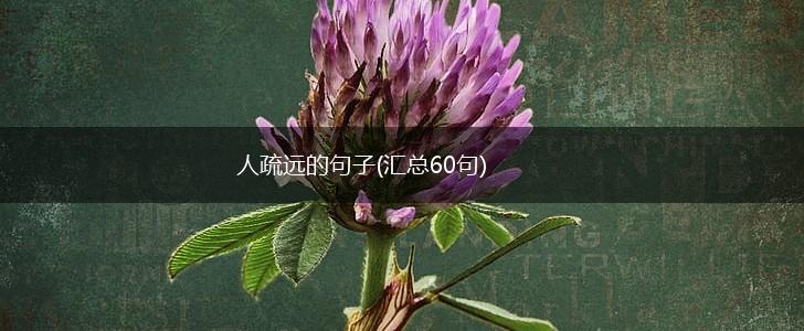 人疏远的句子(汇总60句),第1张