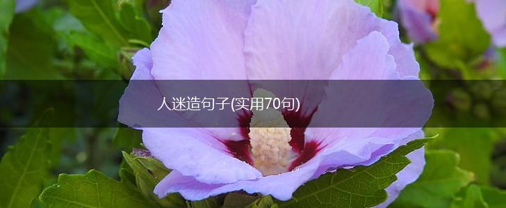 人迷造句子(实用70句),第1张