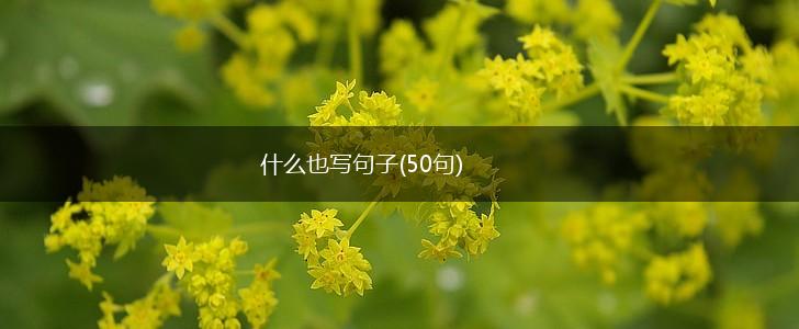 什么也写句子(50句),第1张