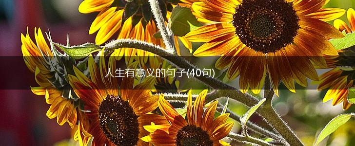 人生有意义的句子(40句),第1张