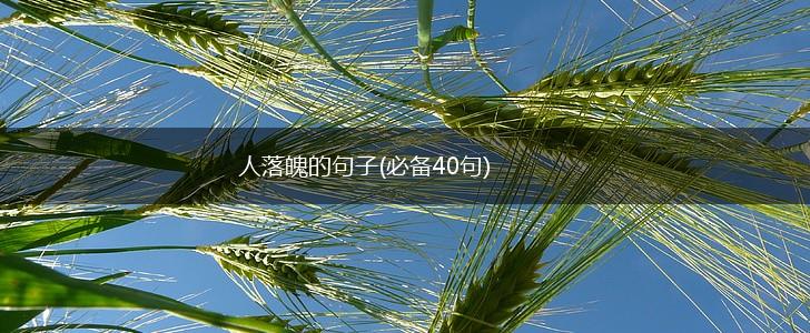人落魄的句子(必备40句),第1张