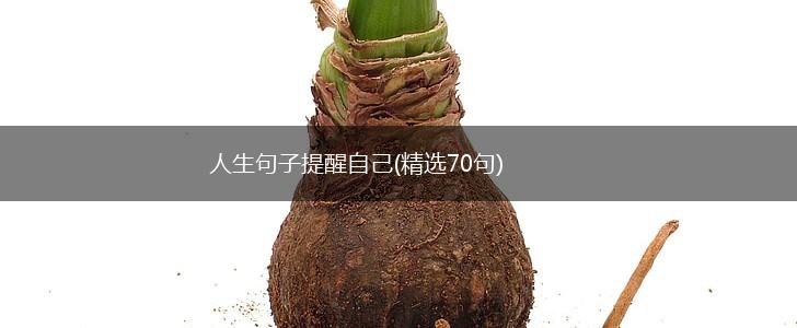 人生句子提醒自己(精选70句),第1张