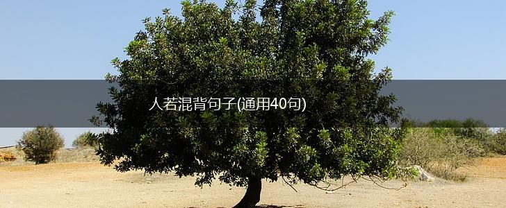 人若混背句子(通用40句),第1张