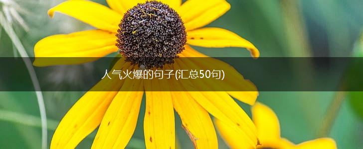 人气火爆的句子(汇总50句),第1张