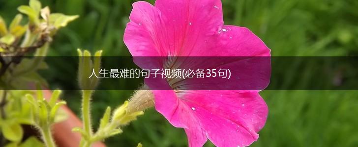 人生最难的句子视频(必备35句),第1张