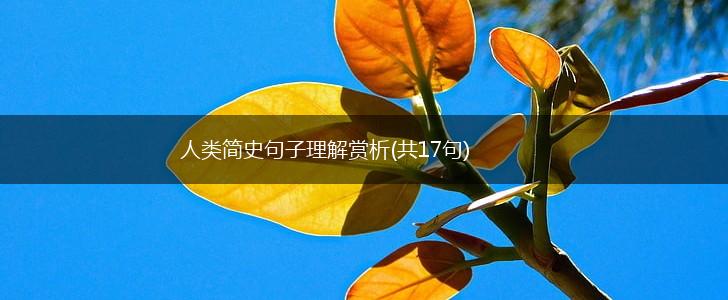 人类简史句子理解赏析(共17句),第1张