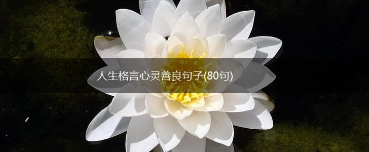 人生格言心灵善良句子(80句),第1张
