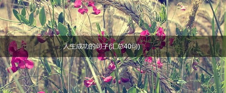 人生成功的句子(汇总40句),第1张