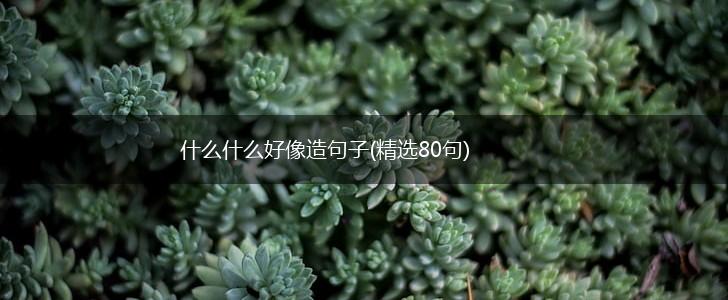 什么什么好像造句子(精选80句),第1张
