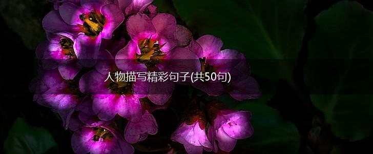 人物描写精彩句子(共50句),第1张