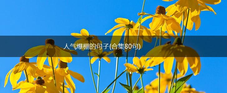 人气爆棚的句子(合集80句),第1张