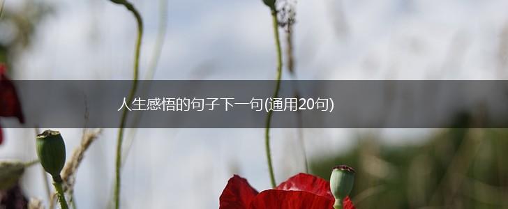 人生感悟的句子下一句(通用20句),第1张