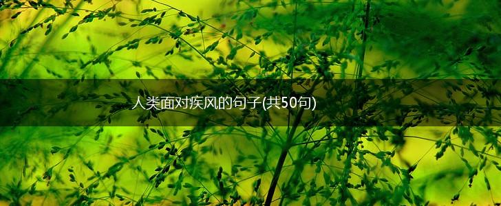 人类面对疾风的句子(共50句),第1张