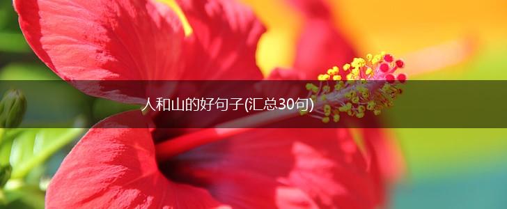 人和山的好句子(汇总30句),第1张