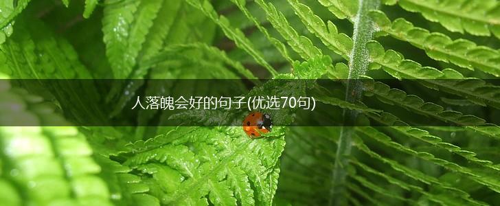人落魄会好的句子(优选70句),第1张