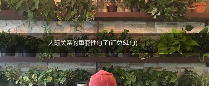 人际关系的重要性句子(汇总61句),第1张