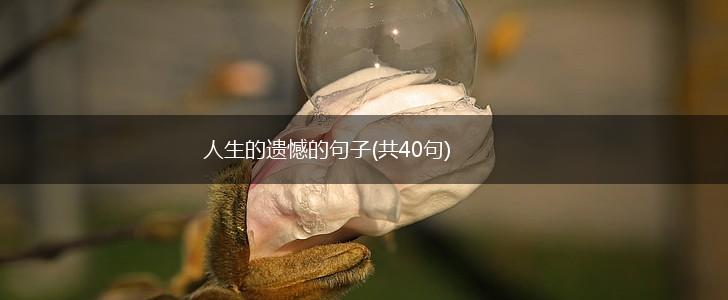 人生的遗憾的句子(共40句),第1张