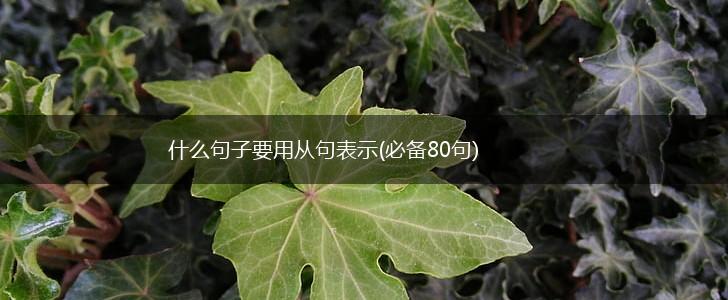 什么句子要用从句表示(必备80句),第1张