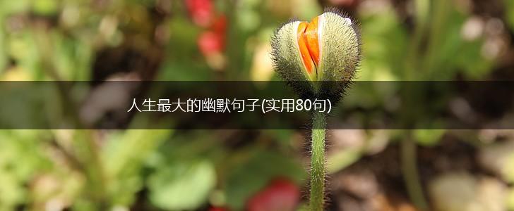 人生最大的幽默句子(实用80句),第1张